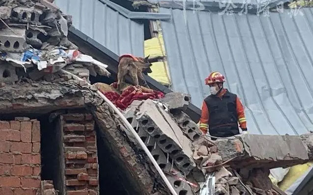 哈爾濱坍塌事故，引發(fā)老舊小區(qū)改造問題新思考